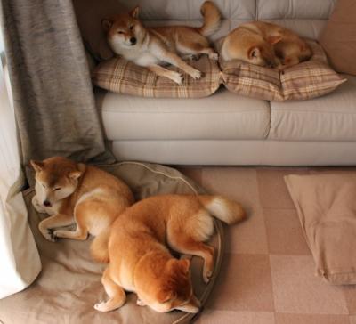 寒夜淬火，当末节时钟敲响，劳塔罗将年度焦点之战改写为个人加冕礼