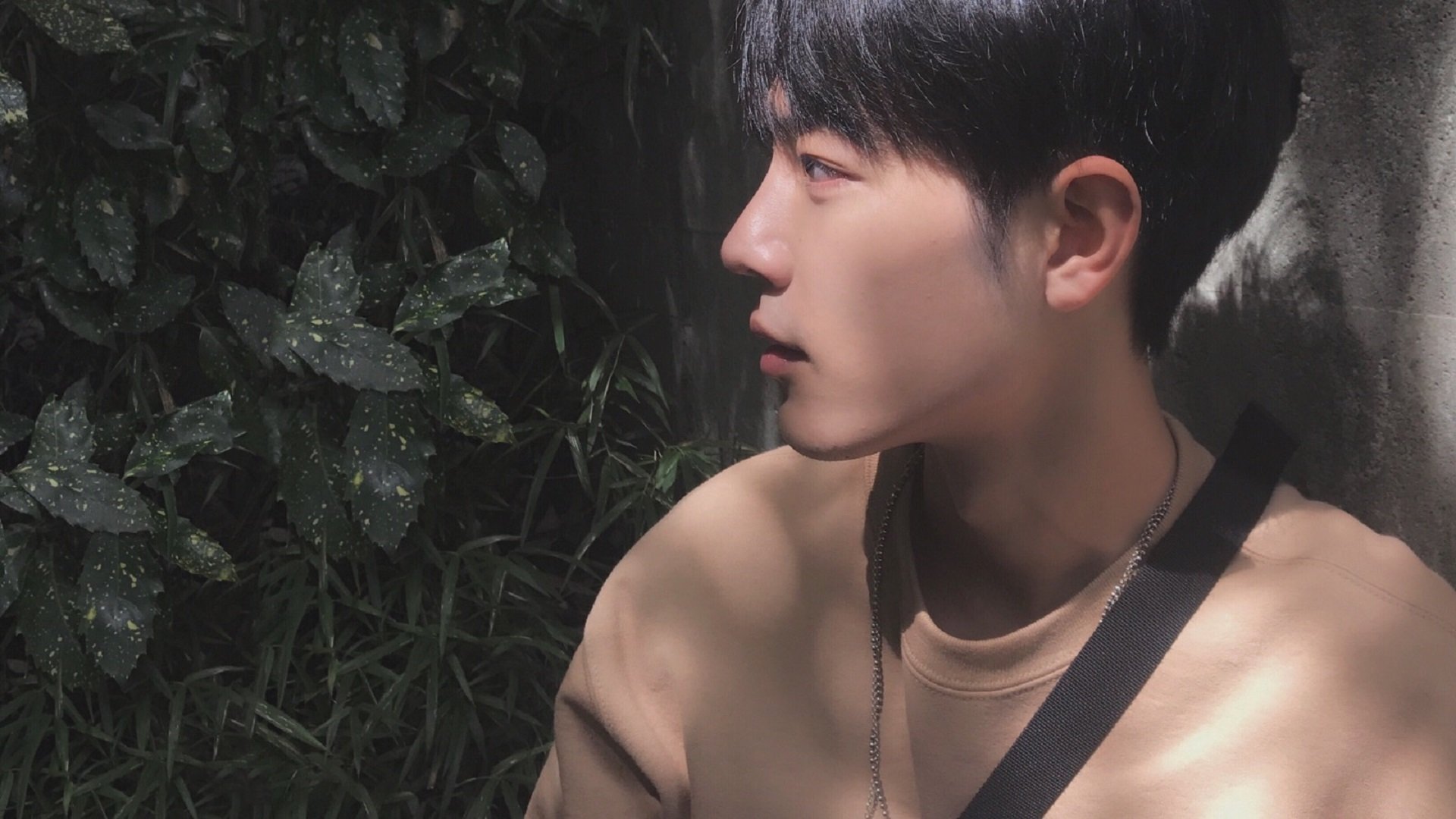 米切尔化身人类稳定精华,上海大鲨鱼跨界碾压孟菲斯灰熊