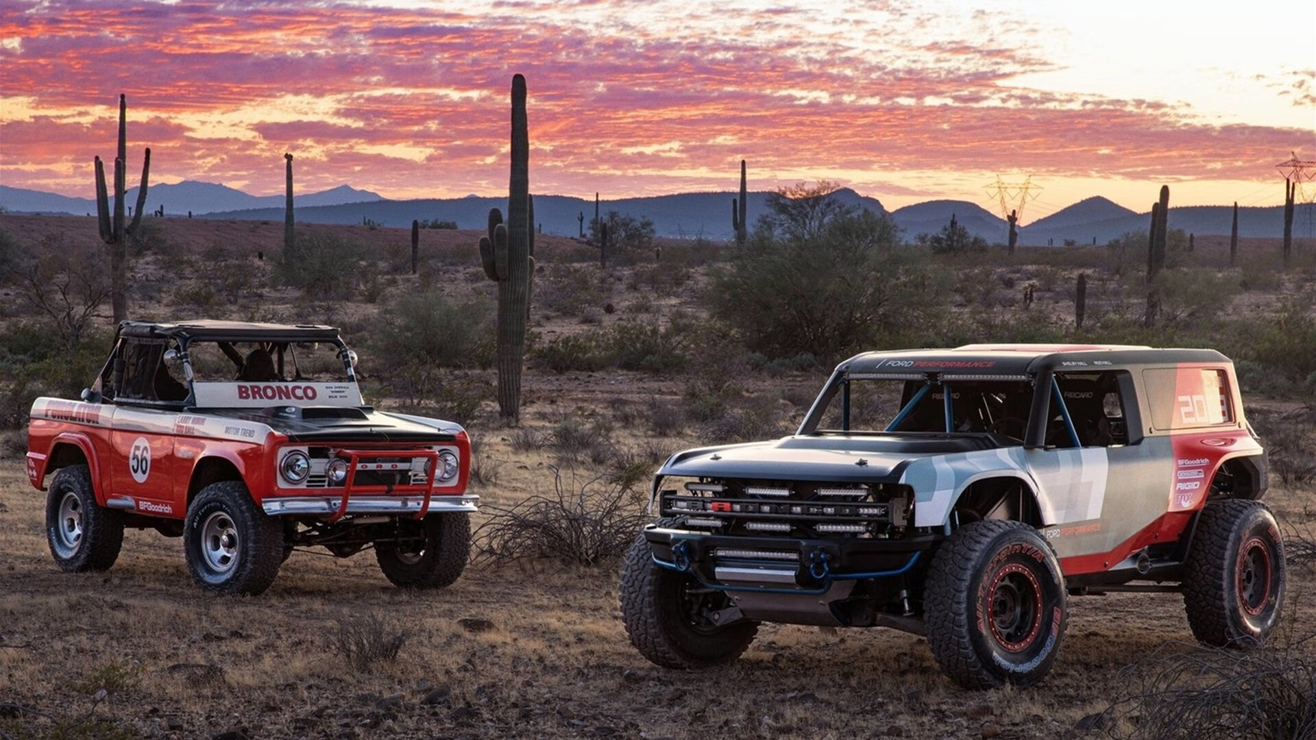 一人与一国，罗德里戈的星光如何照亮澳大利亚的碾压之夜