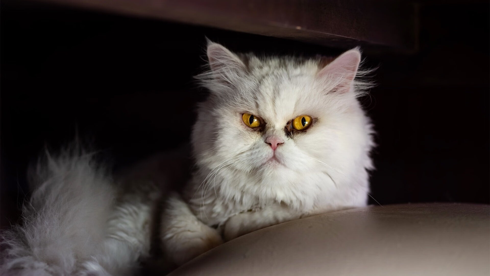 掘金对阵开拓者，当德罗赞化身死神，连珠炮般的得分是如何凿穿对手的意志？