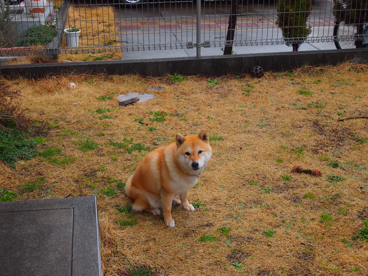 猛龙压哨绝杀公牛，詹姆斯化身关键先生，一场逆转奇迹的诞生