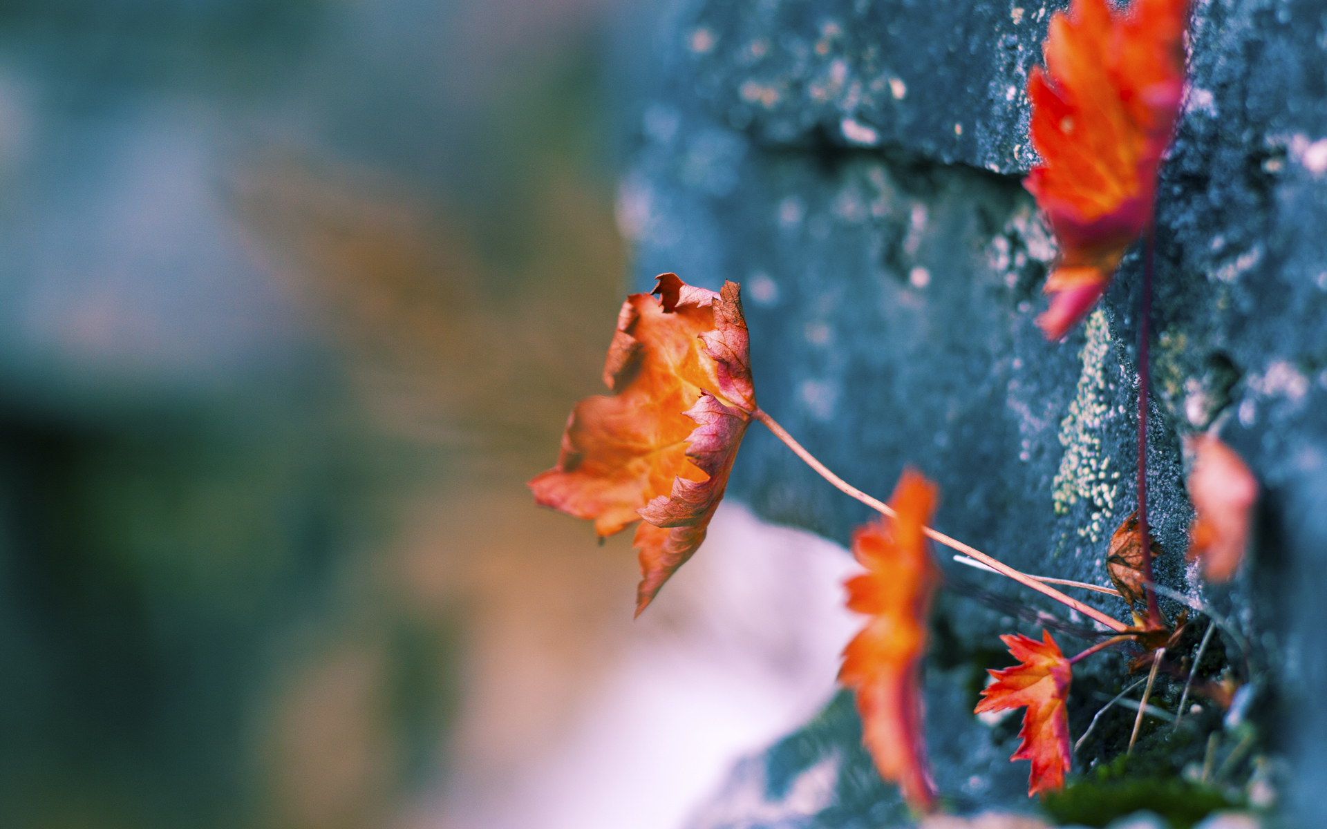 骑士vs广东，NBA总决赛级别的较量，骑士展现统治力