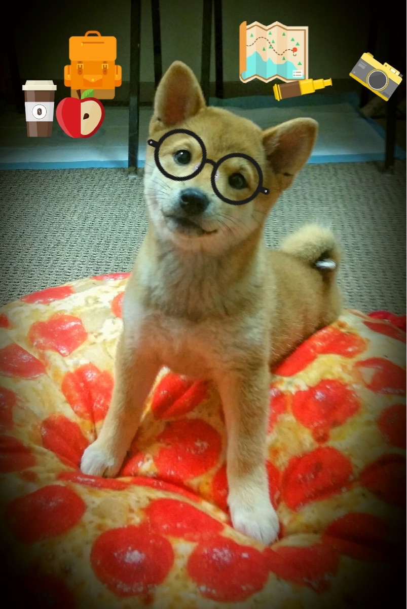 欧冠决赛之夜，乔治完美演绎，镌刻独一无二的历史荣耀