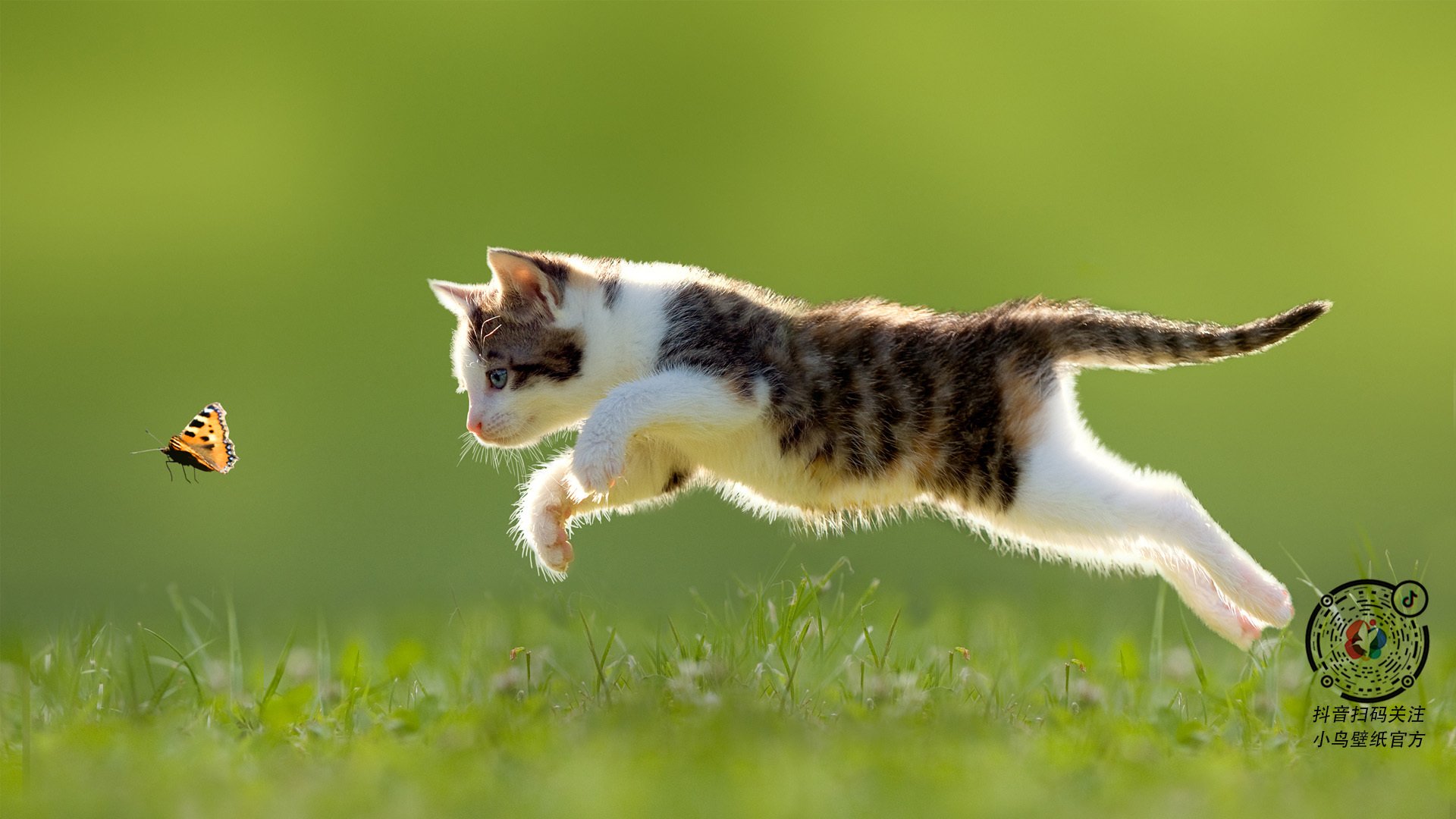 北非德比点燃美加墨，阿尔及利亚淘汰赛惊险过关突尼斯