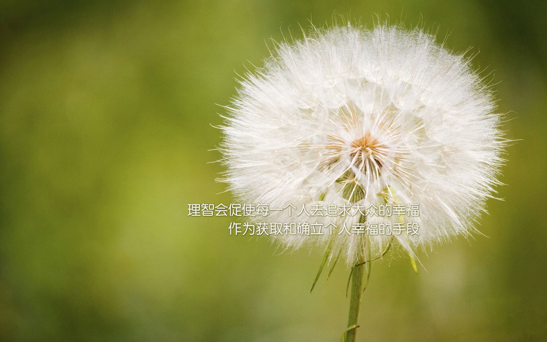 黑马奔腾,巨星陨落?2026世界杯E组,伊拉克以铁血防守与费利克斯的灵光一现,力克保加利亚
