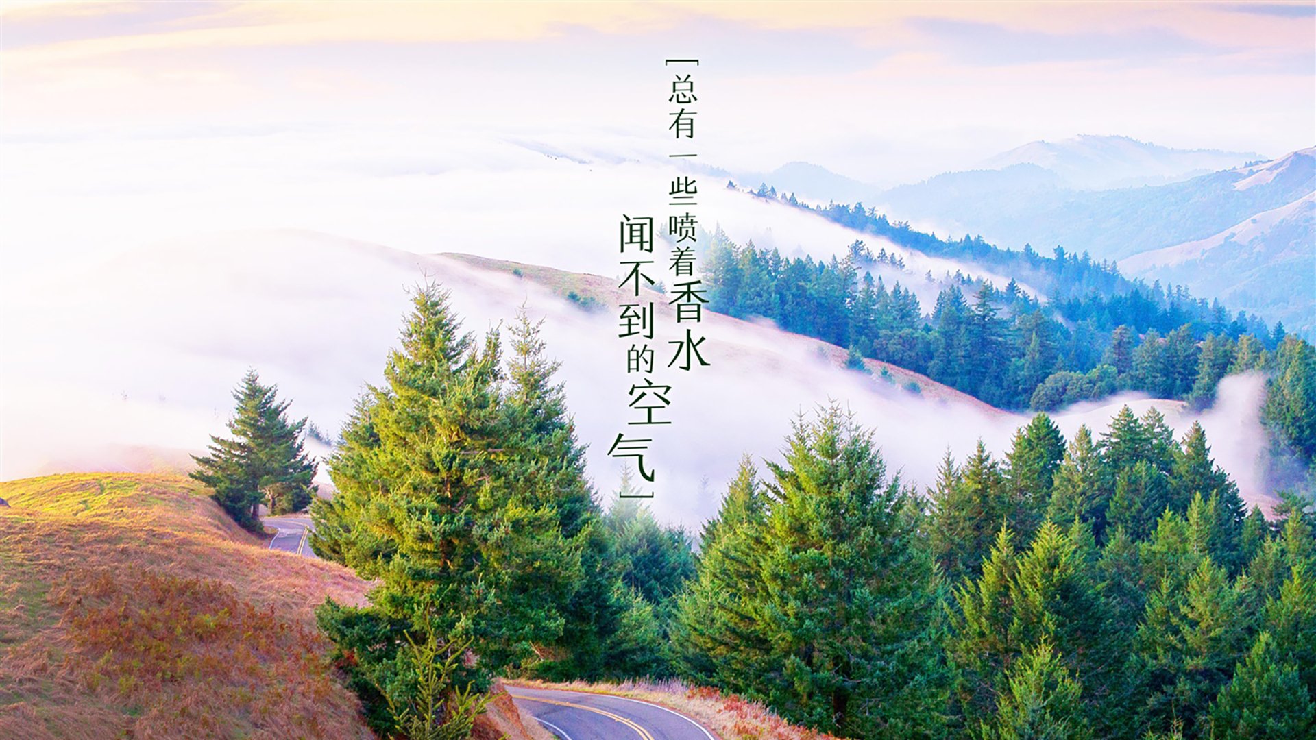 致命弧线划破波斯湾,2026世界杯B组,瑞典的冰蓝风暴与罗德里戈的绝杀密码