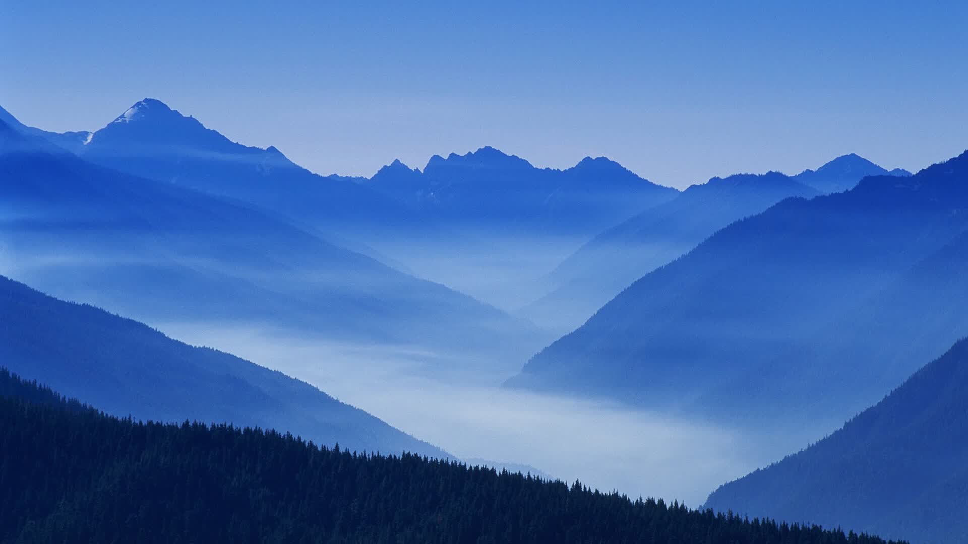 暗夜流星,北欧冰原的致命灼痕,2026世界杯A组那场不可复制的凯恩时刻