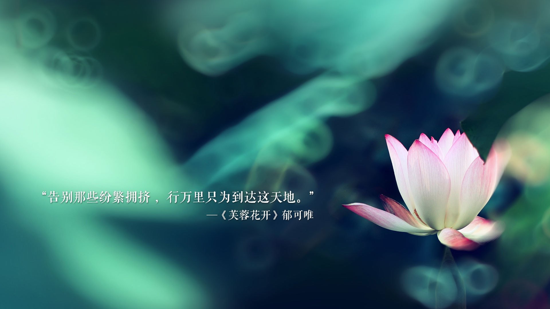 北欧之刃,日耳曼之魂,萨内三连击,撕裂墨西哥的唯一信仰