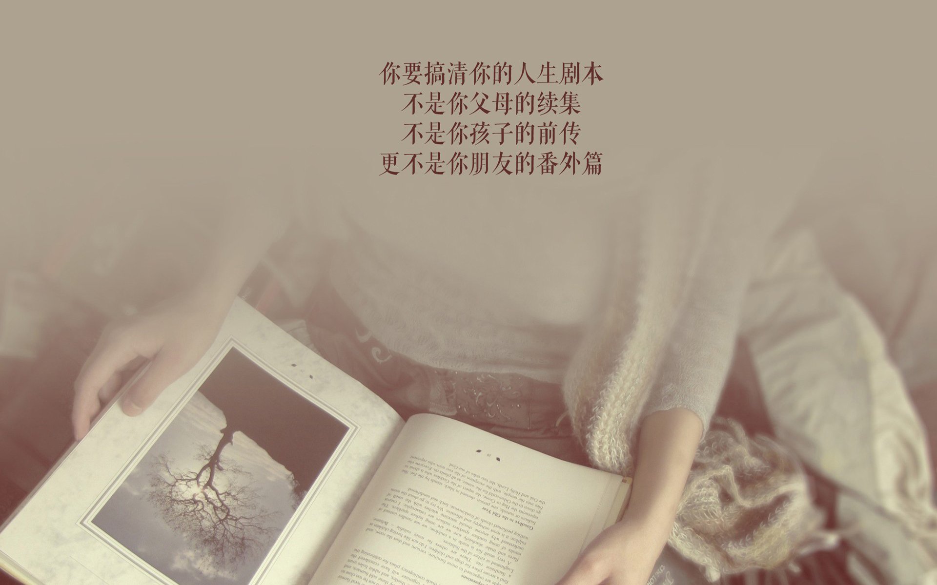 铁幕下的橙光,2026,范戴克用一场非典型胜利,定义了G组的唯一答案